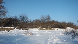 09 Zima na hřbitově ve Svatoboru      
